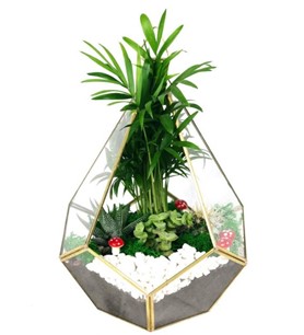 Bornova Çiçekçi , Çiçekçi Bornova , İzmir Bornova Çiçekçi